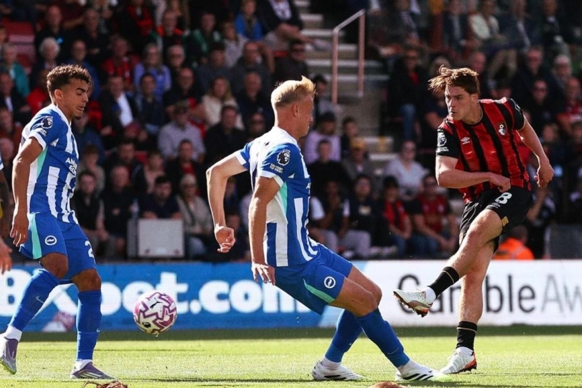 Trực tiếp Bournemouth vs Brighton, 21h00 hôm nay 13/9 703983
