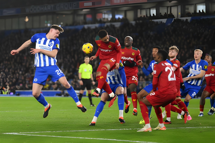 Brighton và Wolves chia điểm tại vòng 21 Ngoại hạng Anh 395413