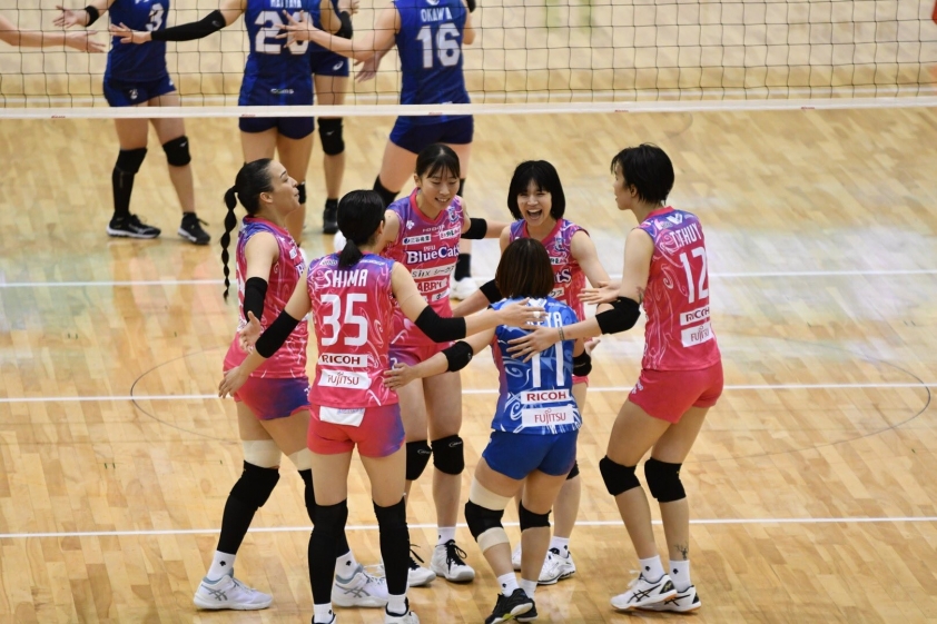 a41f818154b282ecdba3-1699694408.jpg