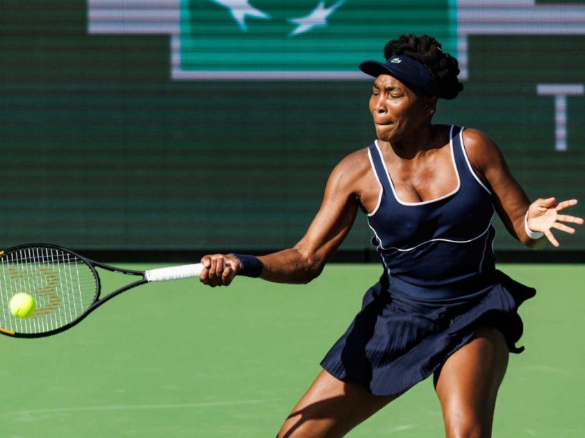 Venus Williams phủ nhận v-596981