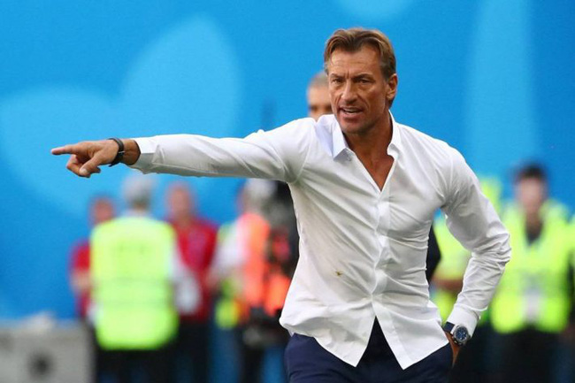 renard-01-1625804201002744069592