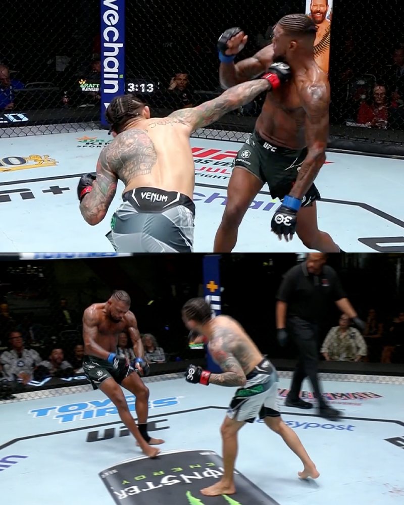 Đình đám UFC Fight Night: Cú thuận tay hiểm ác, ‘Kẻ hủy diệt’ Ferreira khiến Michael Johnson bất tỉnh