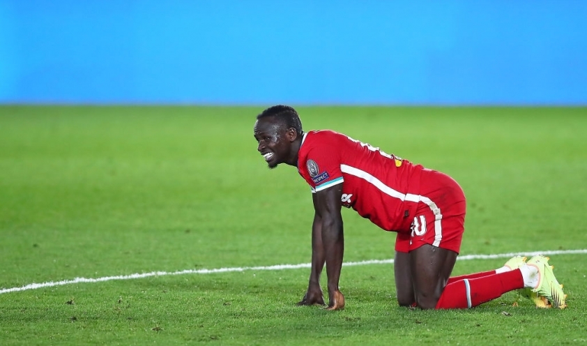 mane-2