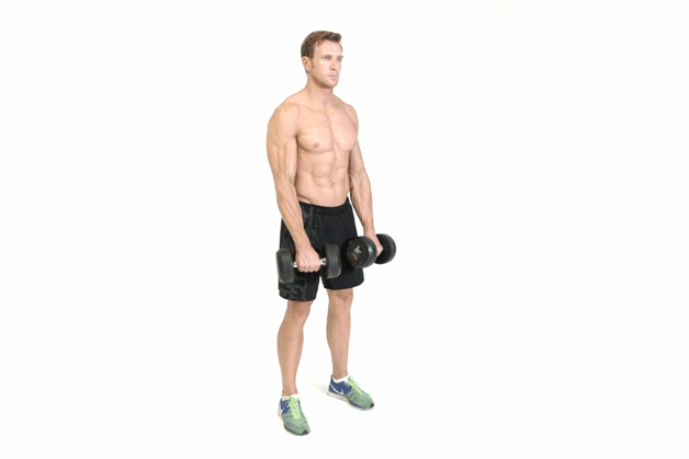 how-to-do-reverse-bicep-curls (1)