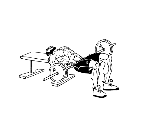 Barbell Hip Thrust-591c35cdeeee8