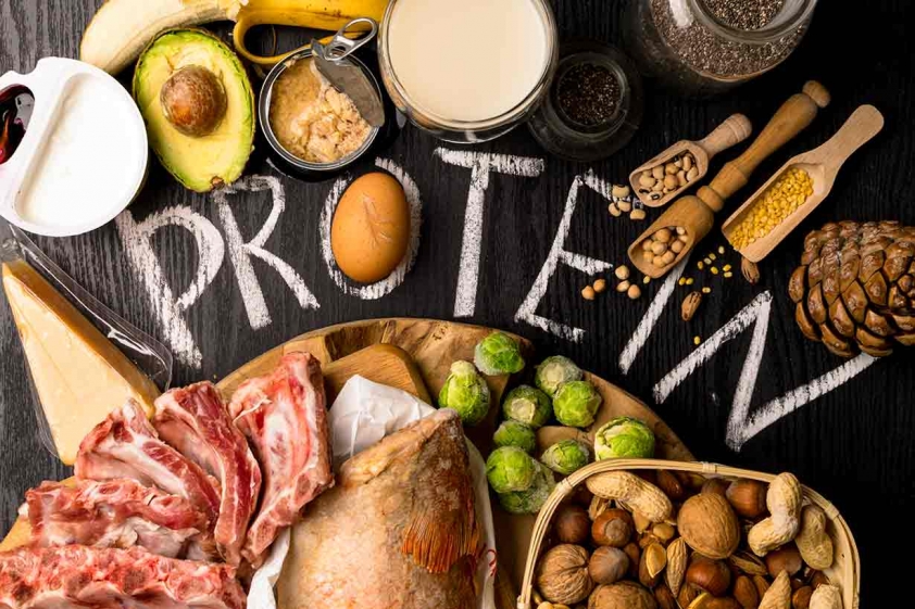 foods-with-a-good-protein-content