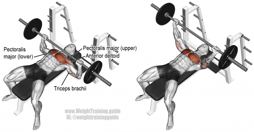 Barbell-Bench-Press