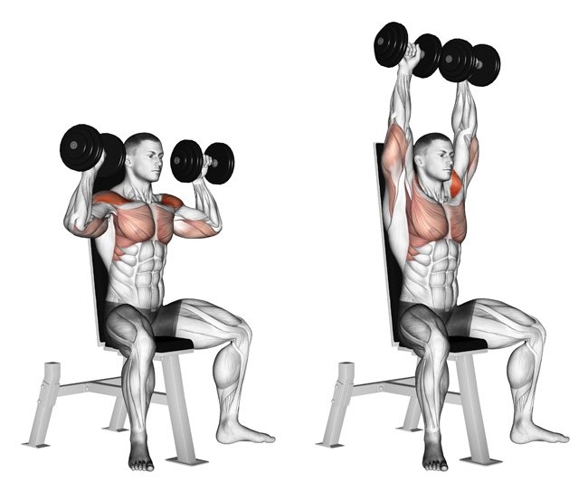 Exercise-1-Dumbbell-Shoulder-Press