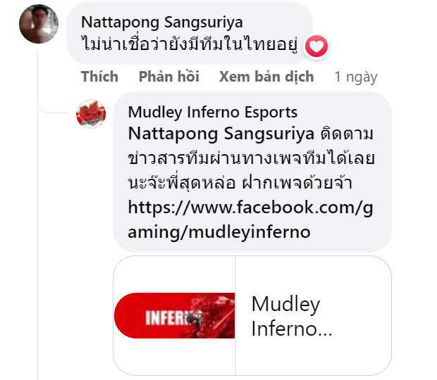 bình luận của fan