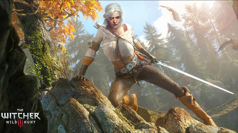 Bản nâng cấp đồ họa của The Witcher 3 nhận cơn mưa lời khen từ game thủ 232326