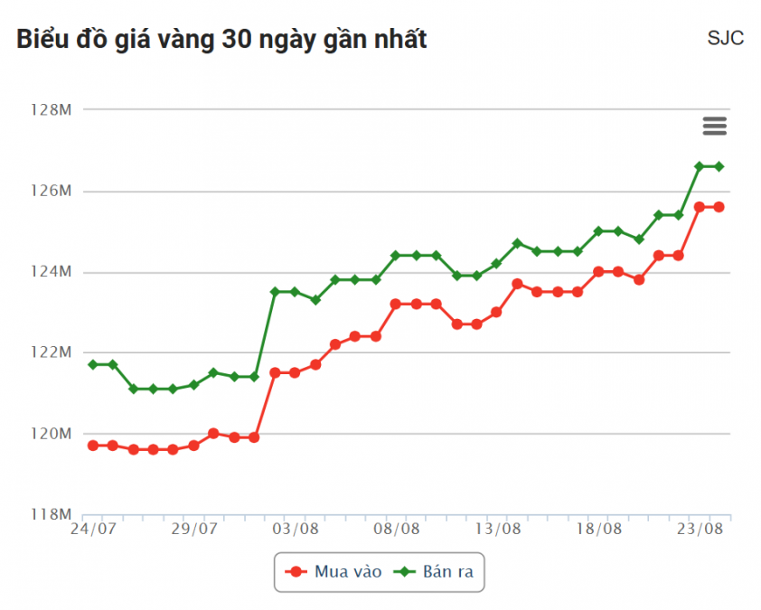 Giá vàng hôm nay sáng 24/8: SJC vẫn neo ở đỉnh 690849