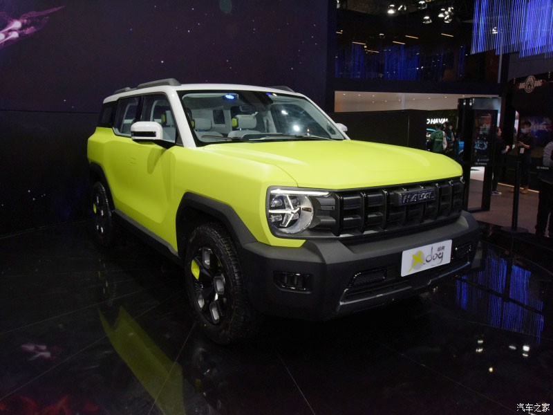 haval-x-dog-6
