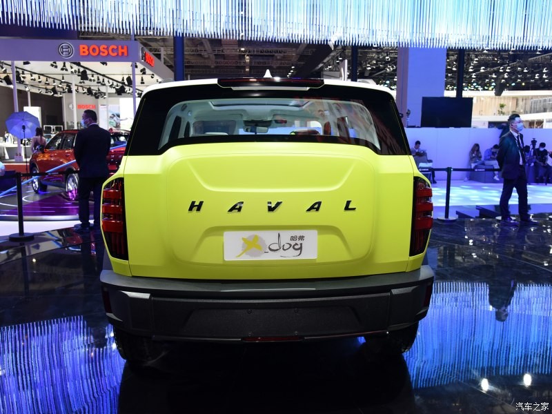haval-x-dog-7