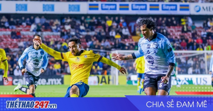 top-gg-bydgwaaaucoz-scale