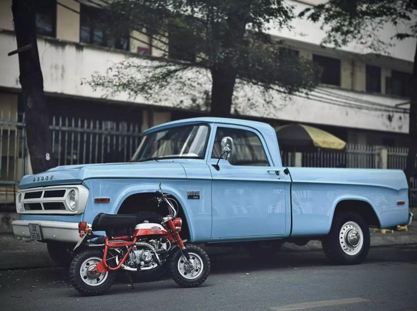 Dodge D100 – Biểu tượng xe bán tải cổ điển xuất hiện tại Việt Nam 608173