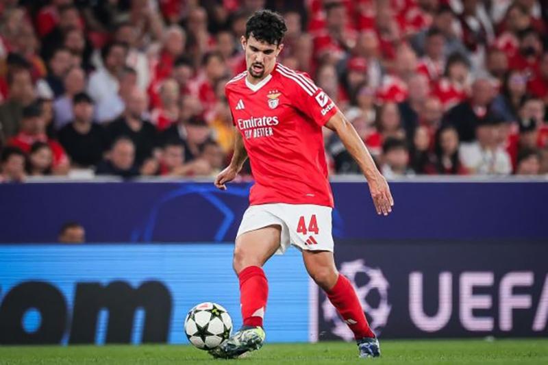 araujo