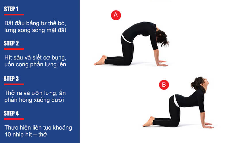 bài tập tăng chiều cao tư thế bắt chước mèo