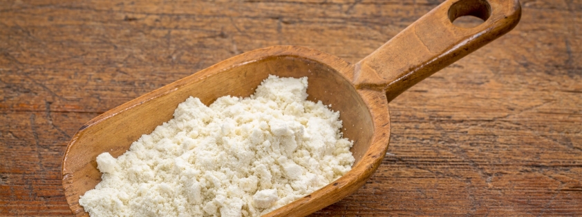 Whey Protein là