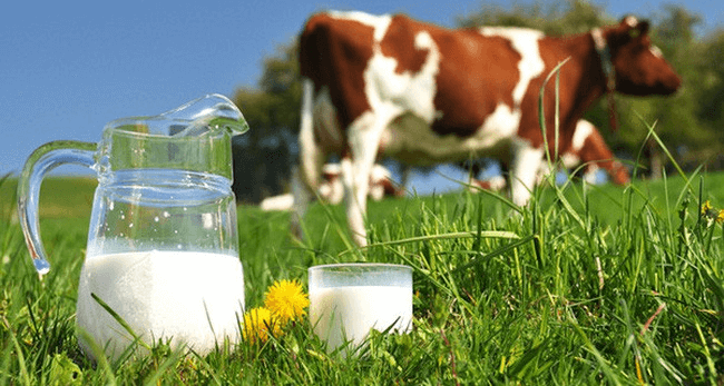 cách tăng chiều cao ở tuổi 17
