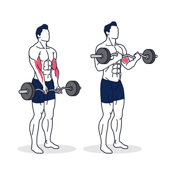 Bài tập Isolation là gì