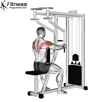 Các bài tập vai