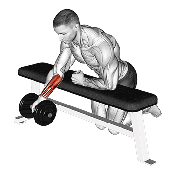 lịch tập gym cho nữ