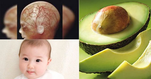 ăn bơ có tác dụng gì cho bà bầu