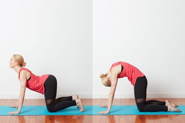 Các tư thế yoga giảm đau lưng