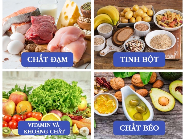thực đơn tăng cân
