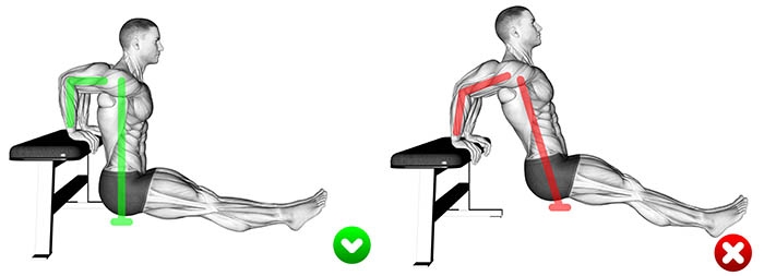 Bench Dips
