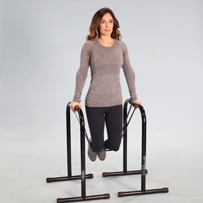 Bench Dips