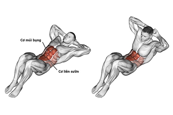Gập bụng có tác dụng gì
