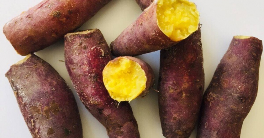 Các loại khoai lang