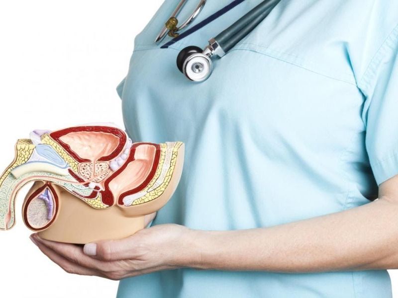 Tác hại của hạt chia