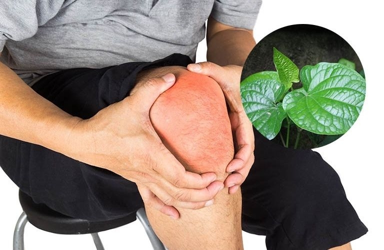 Cách trị đau nhức xương khớp tại nhà