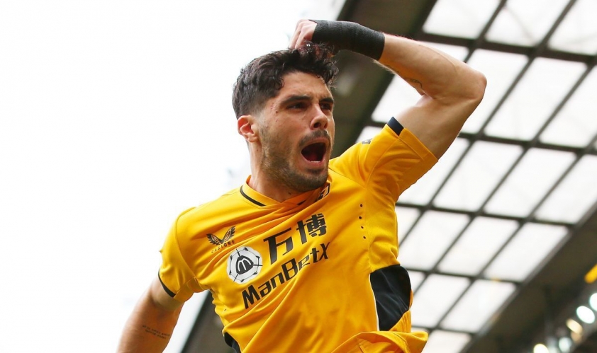 Neto Wolves