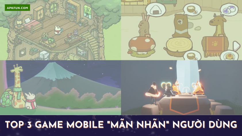 01656063809.png