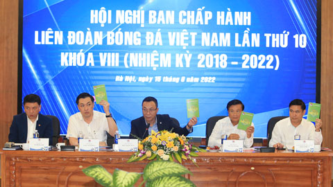 dai hoi vff