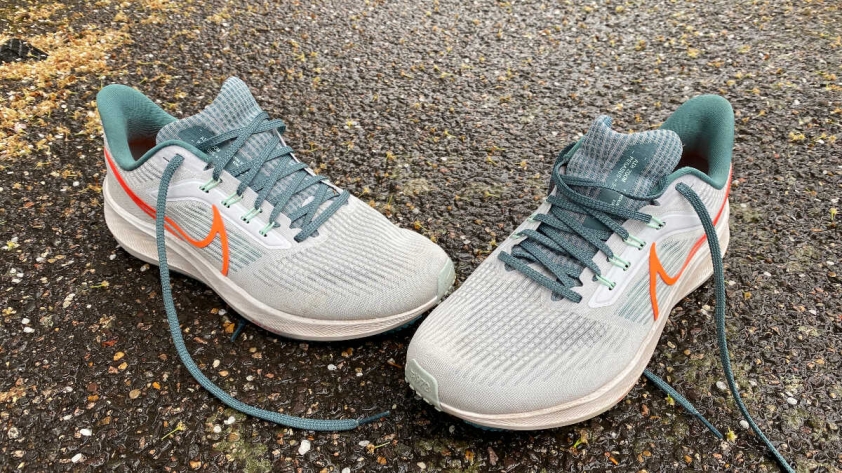 Review Nike Air Zoom Pegasus 39 326160
