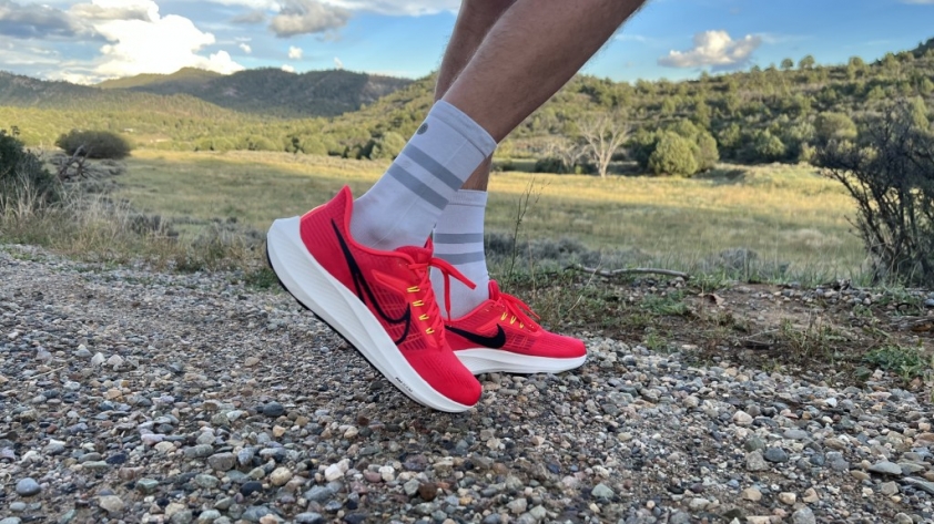 Review Nike Air Zoom Pegasus 39 326166