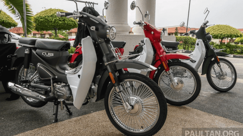 wmoto-cub-classic-2-5814 (1)