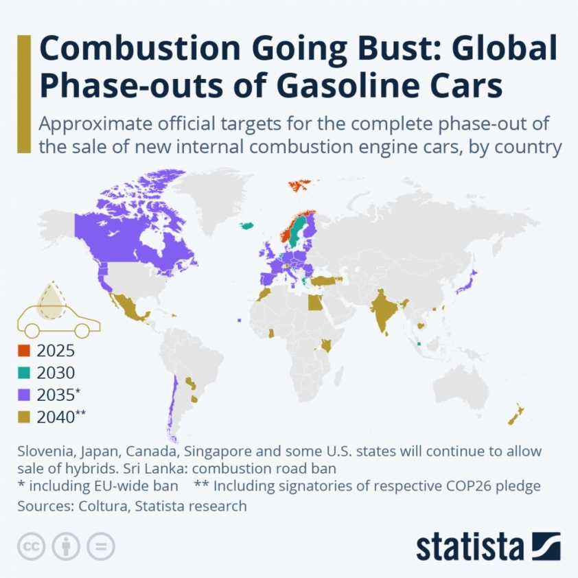 statista_result