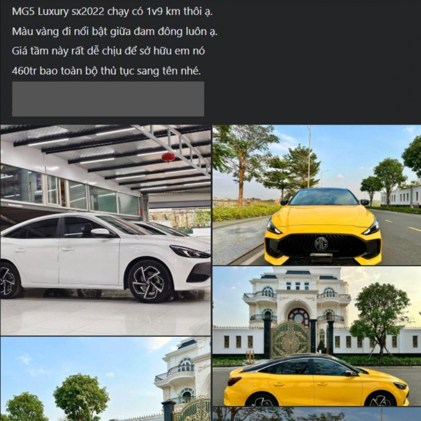 mgg