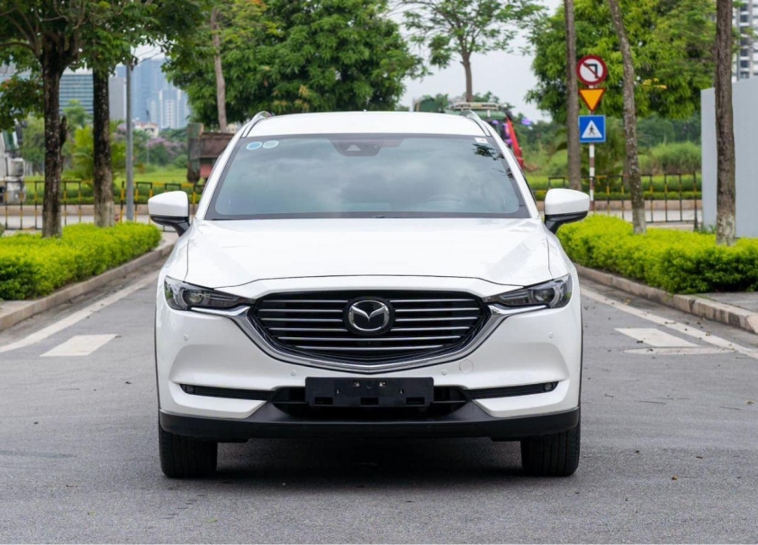 cx-81