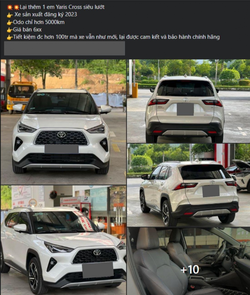 t5
