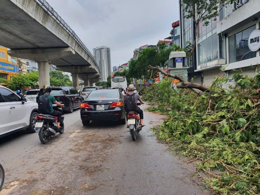 Hà Nội: Cây gãy đổ ngổn ngang sau bão Yagi, người dân chật vật tìm đường đi làm 524875