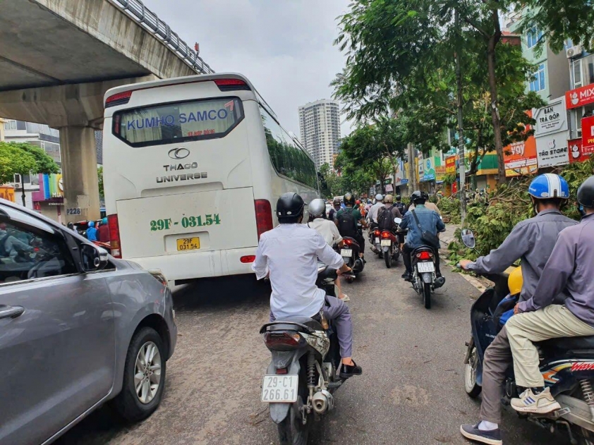 Hà Nội: Cây gãy đổ ngổn ngang sau bão Yagi, người dân chật vật tìm đường đi làm 524876