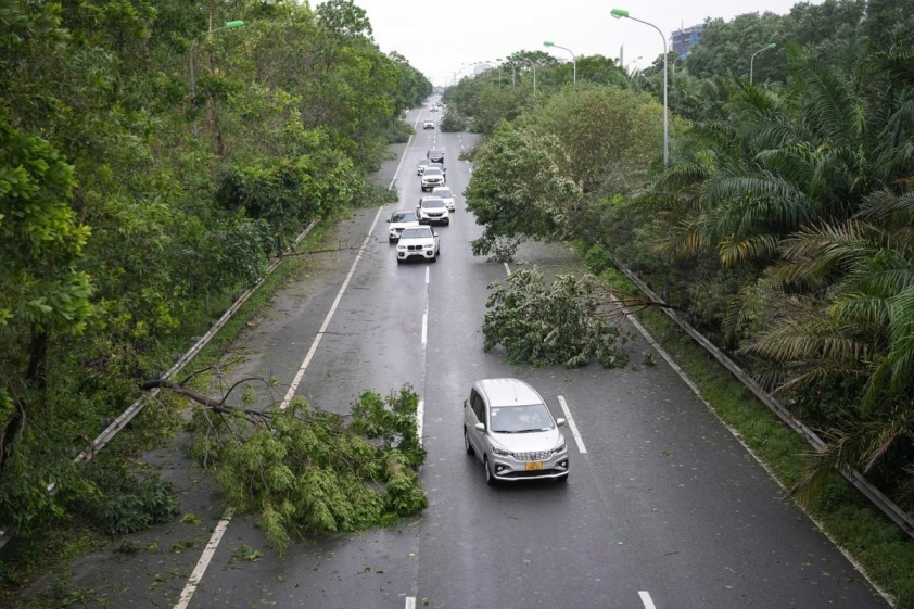 Hà Nội: Cây gãy đổ ngổn ngang sau bão Yagi, người dân chật vật tìm đường đi làm 524885