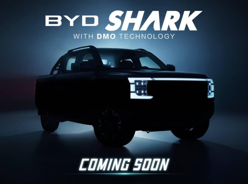 byd-shark