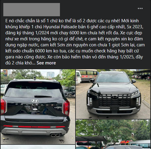 hyundai palisade 2024